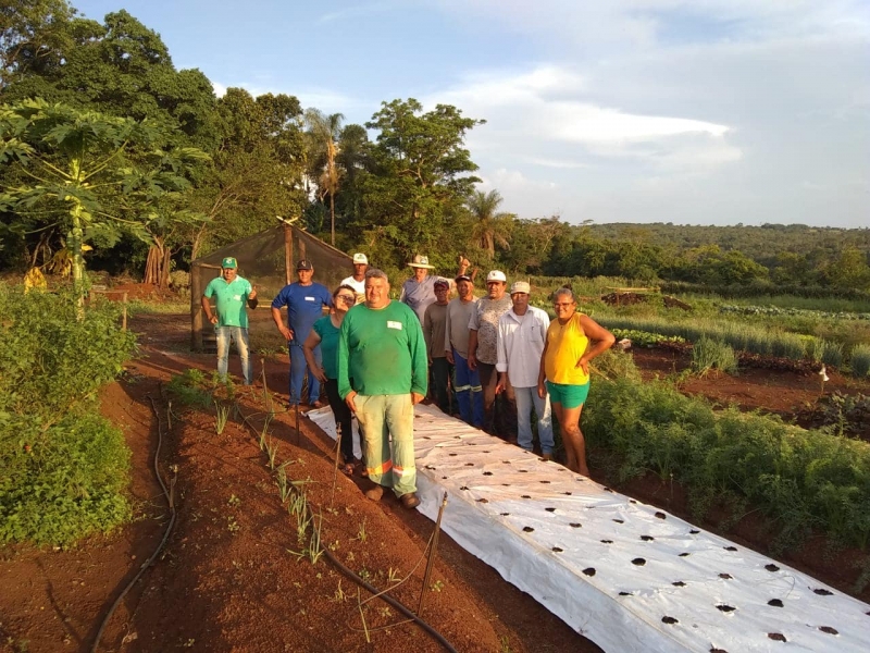 Prefeitura de Costa Rica promove técnica de mulching para proteção do solo e aumento da produtividade agrícola no Cinturão Verde