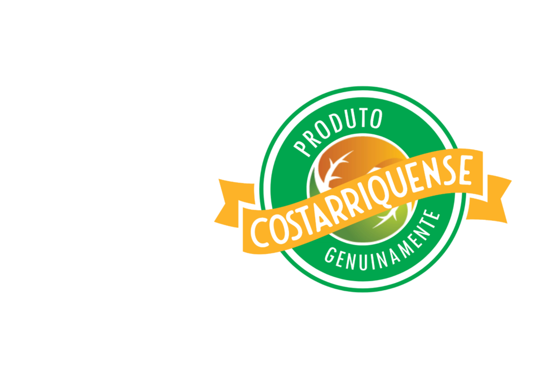 Capa de José Soares Pereira