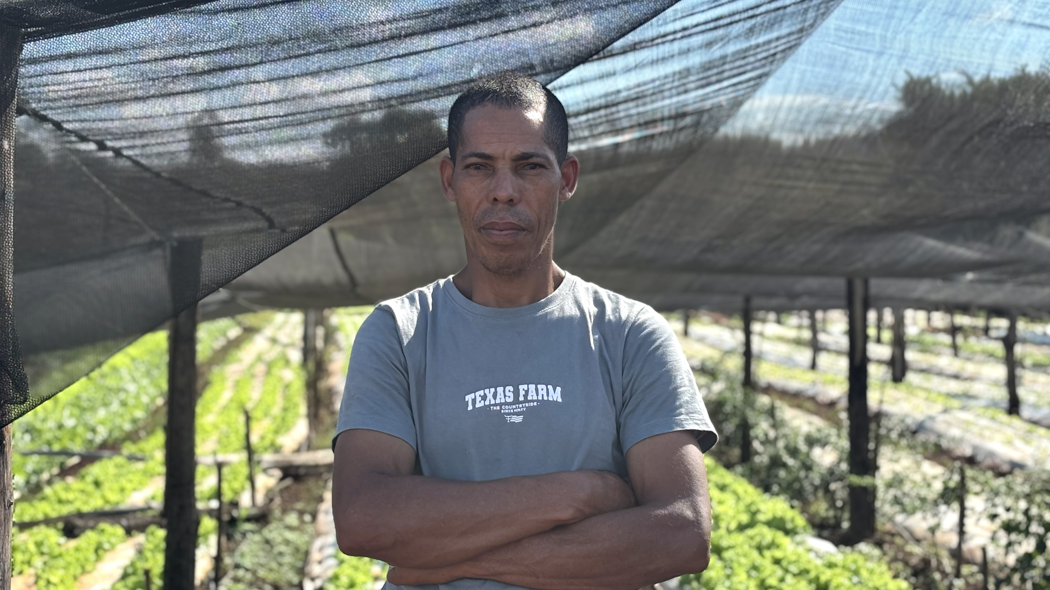 José Soares Pereira